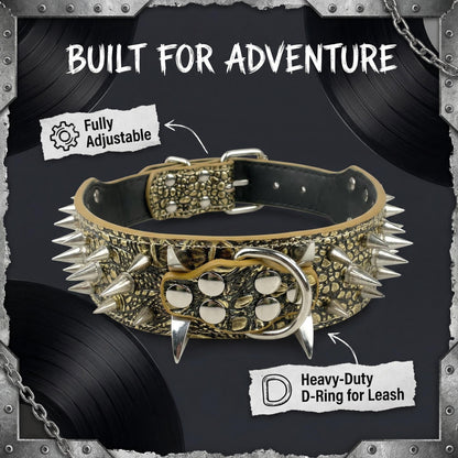 Tan Studded Dog Collar