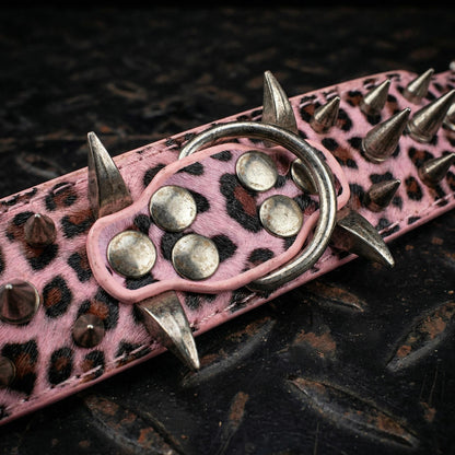 Light Pink Studded Dog Collar