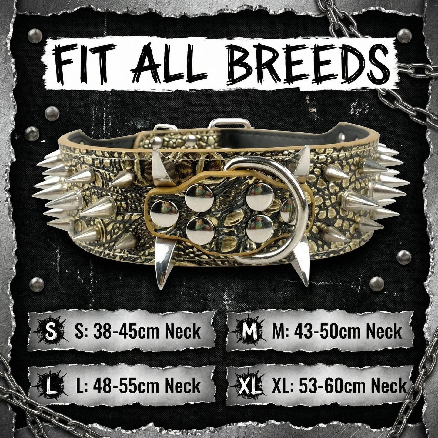 Tan Studded Dog Collar