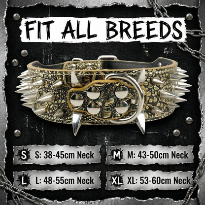 Tan Studded Dog Collar