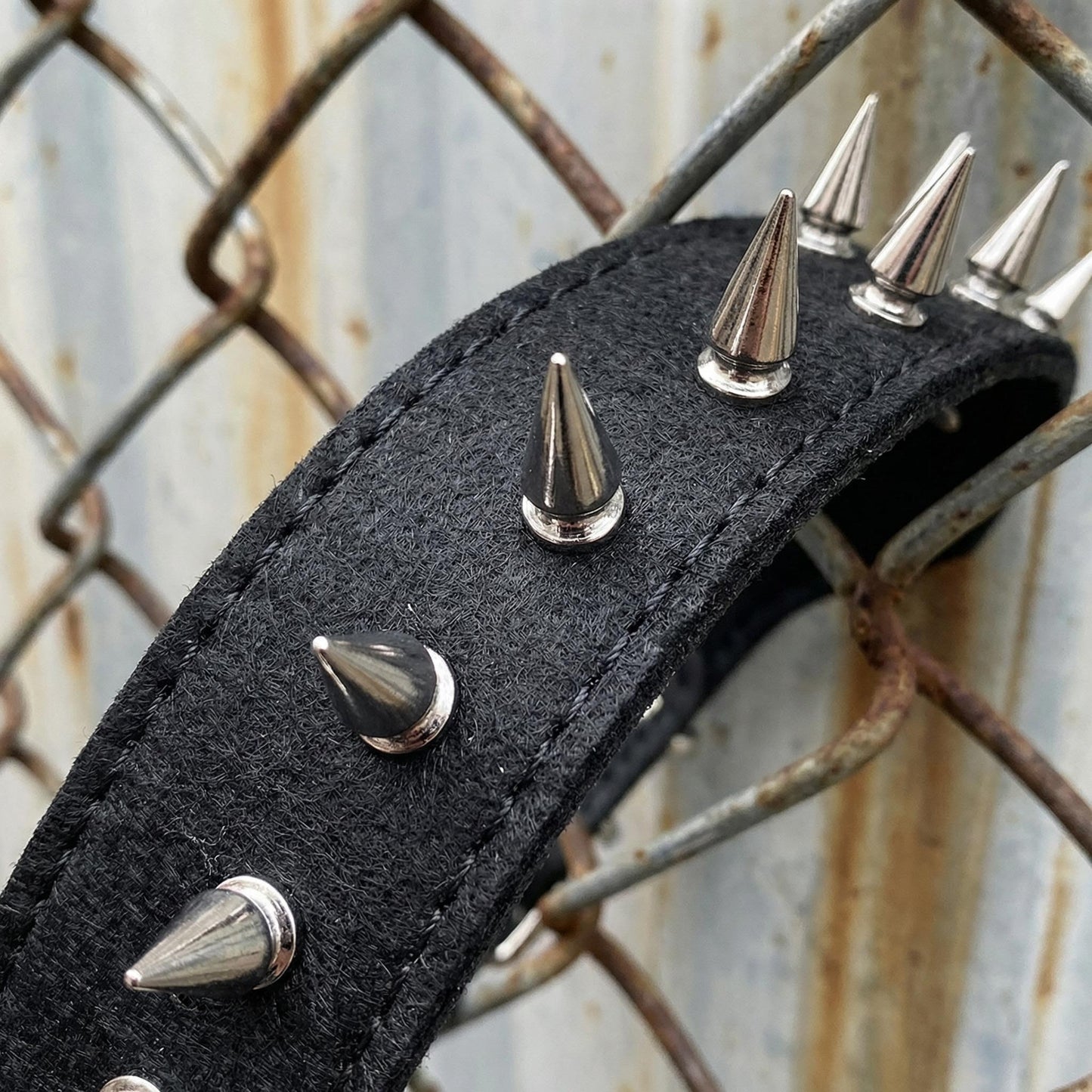 Black & Silver Studded Dog Collar
