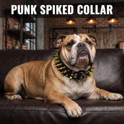 Black & Silver Studded Dog Collar