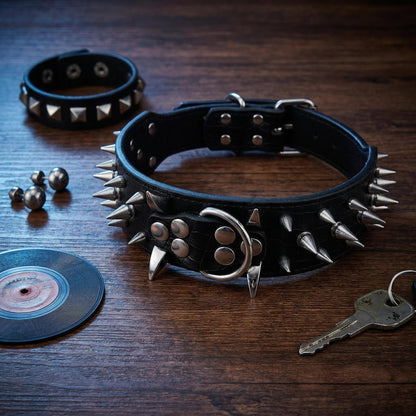 Black & Silver Studded Dog Collar