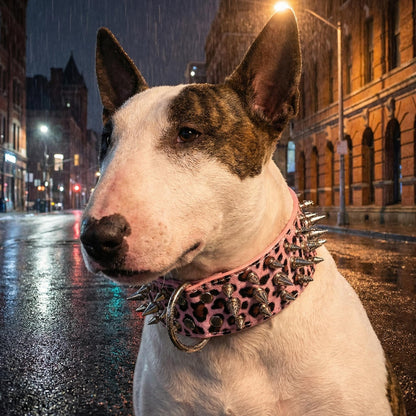 Light Pink Studded Dog Collar