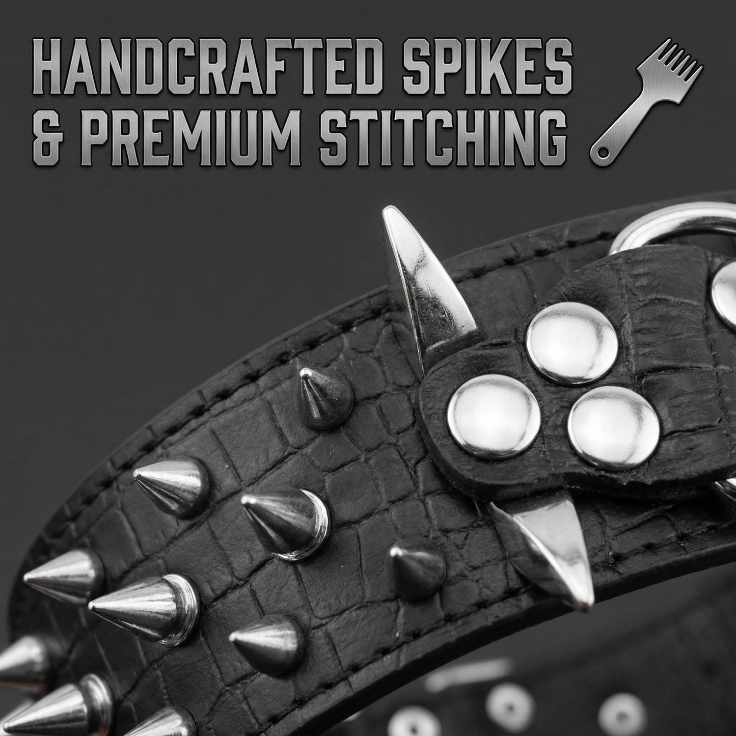 Black & Silver Studded Dog Collar