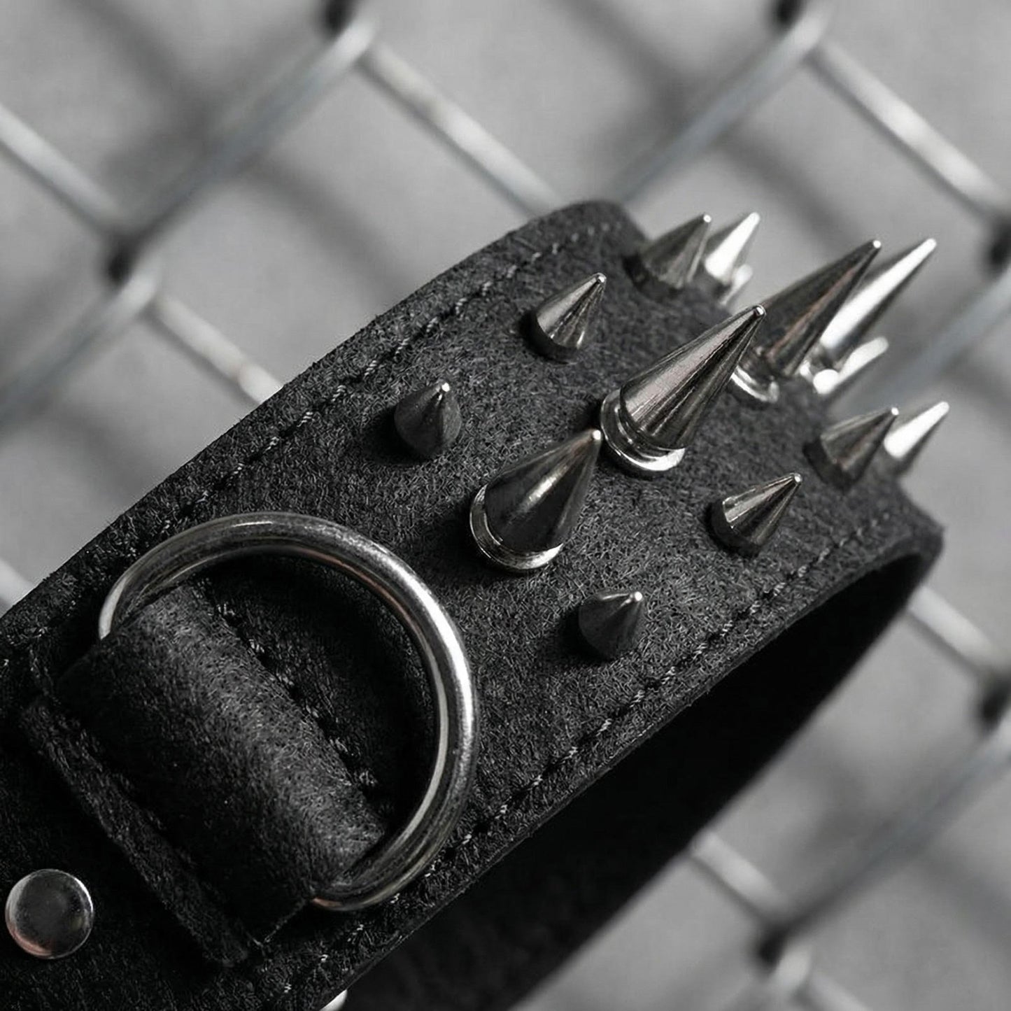 Black & Silver Studded Dog Collar