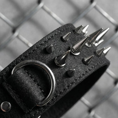 Black & Silver Studded Dog Collar