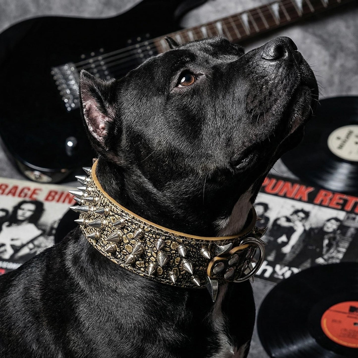 Tan Studded Dog Collar