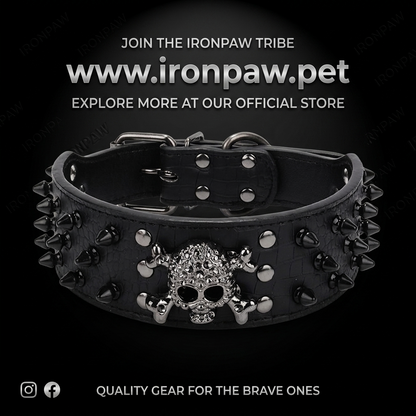 Black Leather Skull Studded Dog Collar
