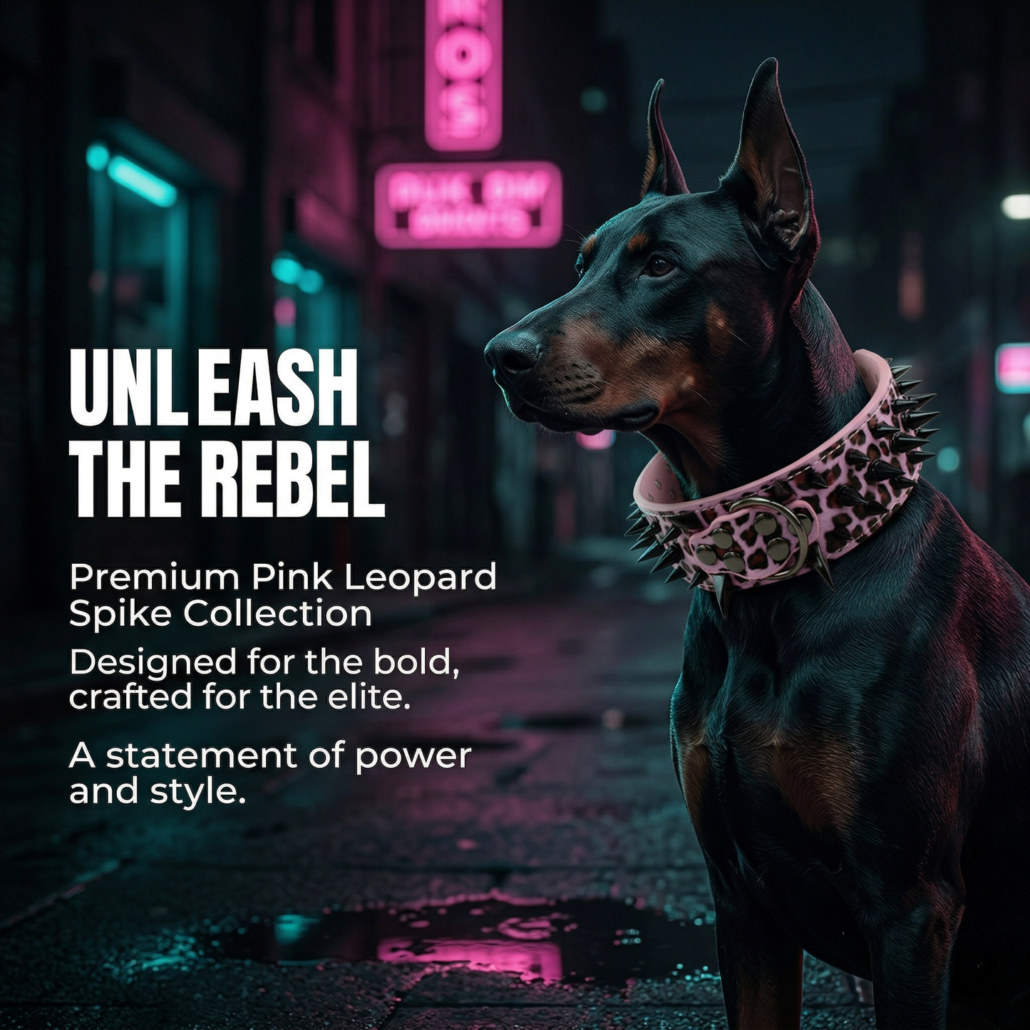 Pink & Black Studded Dog Collar