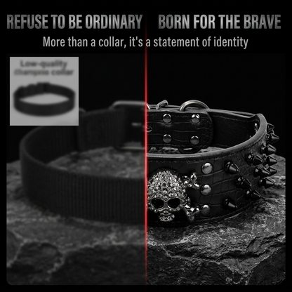 Black Leather Skull Studded Dog Collar