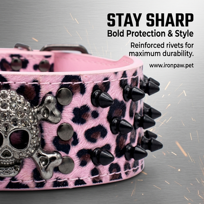 Pink & Black Skull Studded Dog Collar
