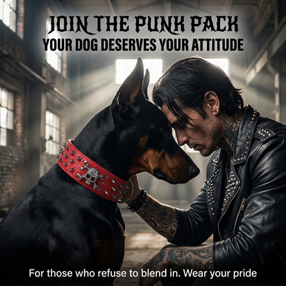 Red Leather Skull Studded Dog Collar