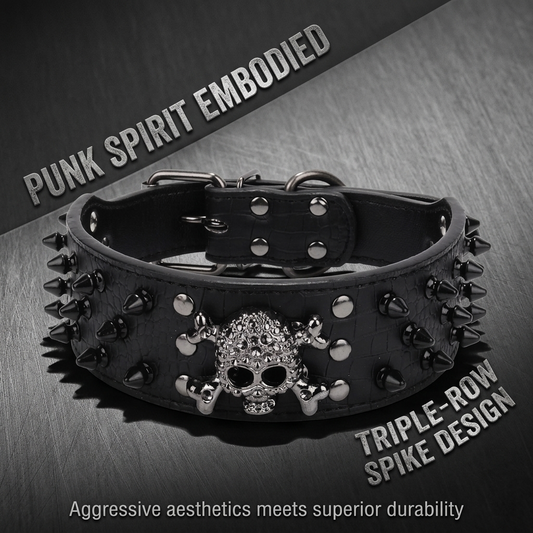 Black Leather Skull Studded Dog Collar