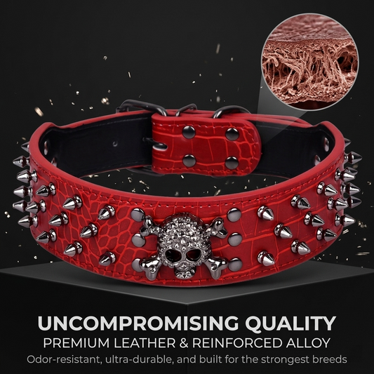 Red Leather Skull Studded Dog Collar