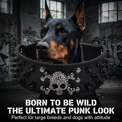 Black Leather Skull Studded Dog Collar