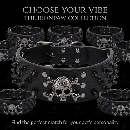 Black Leather Skull Studded Dog Collar