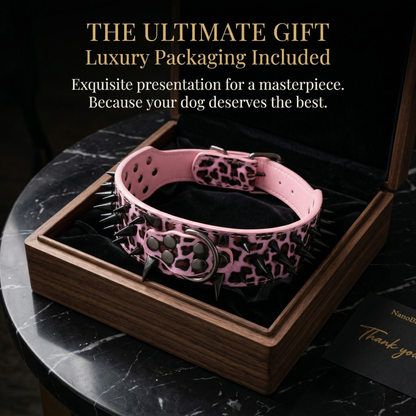 Pink & Black Studded Dog Collar