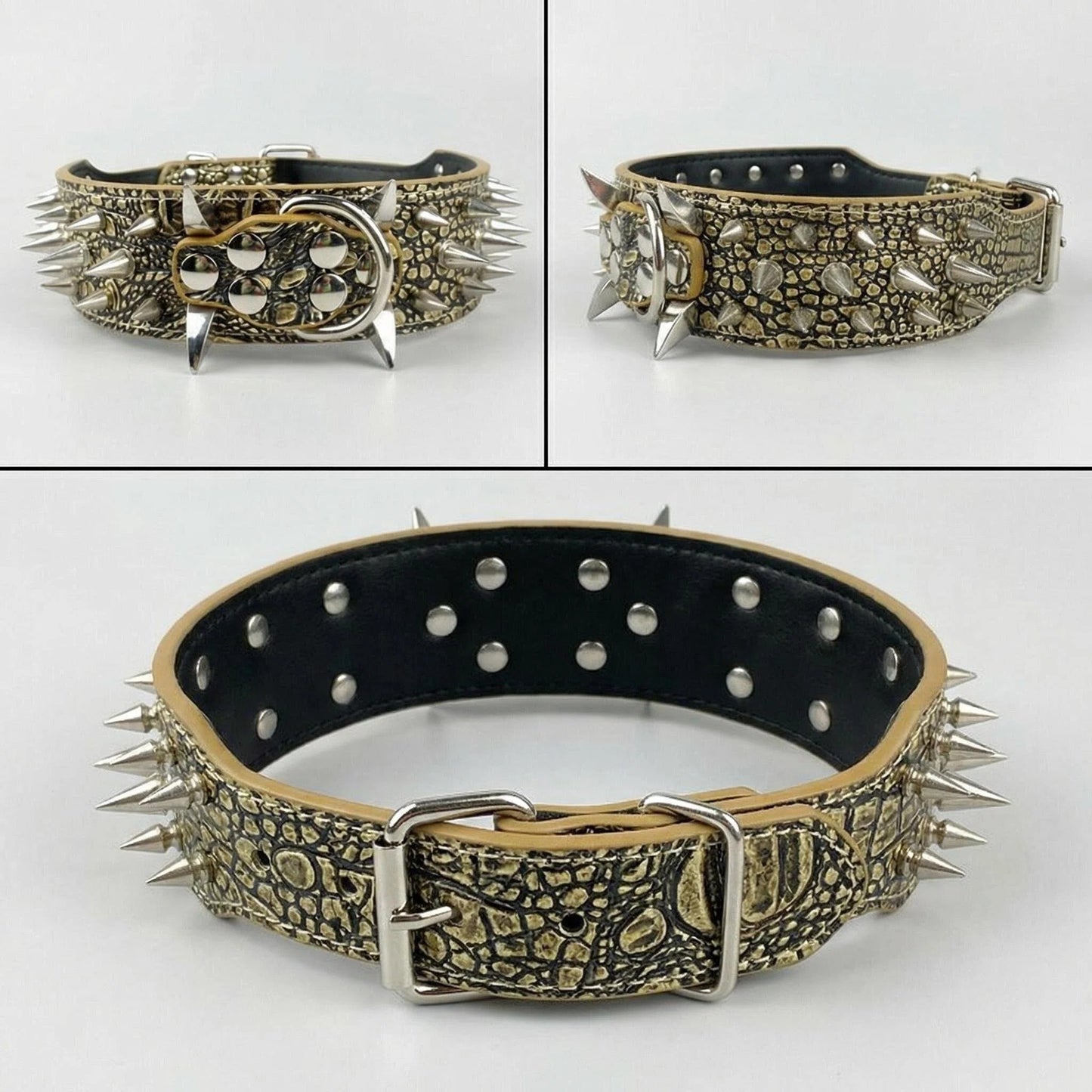 Tan Studded Dog Collar
