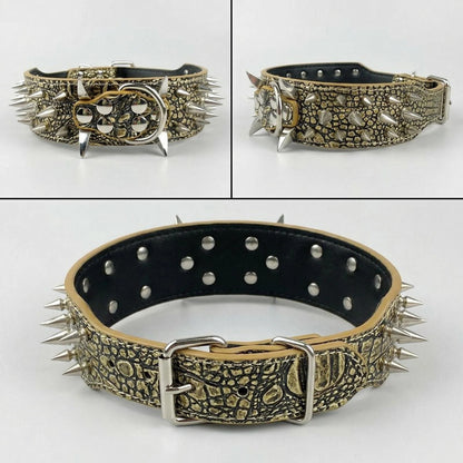 Tan Studded Dog Collar