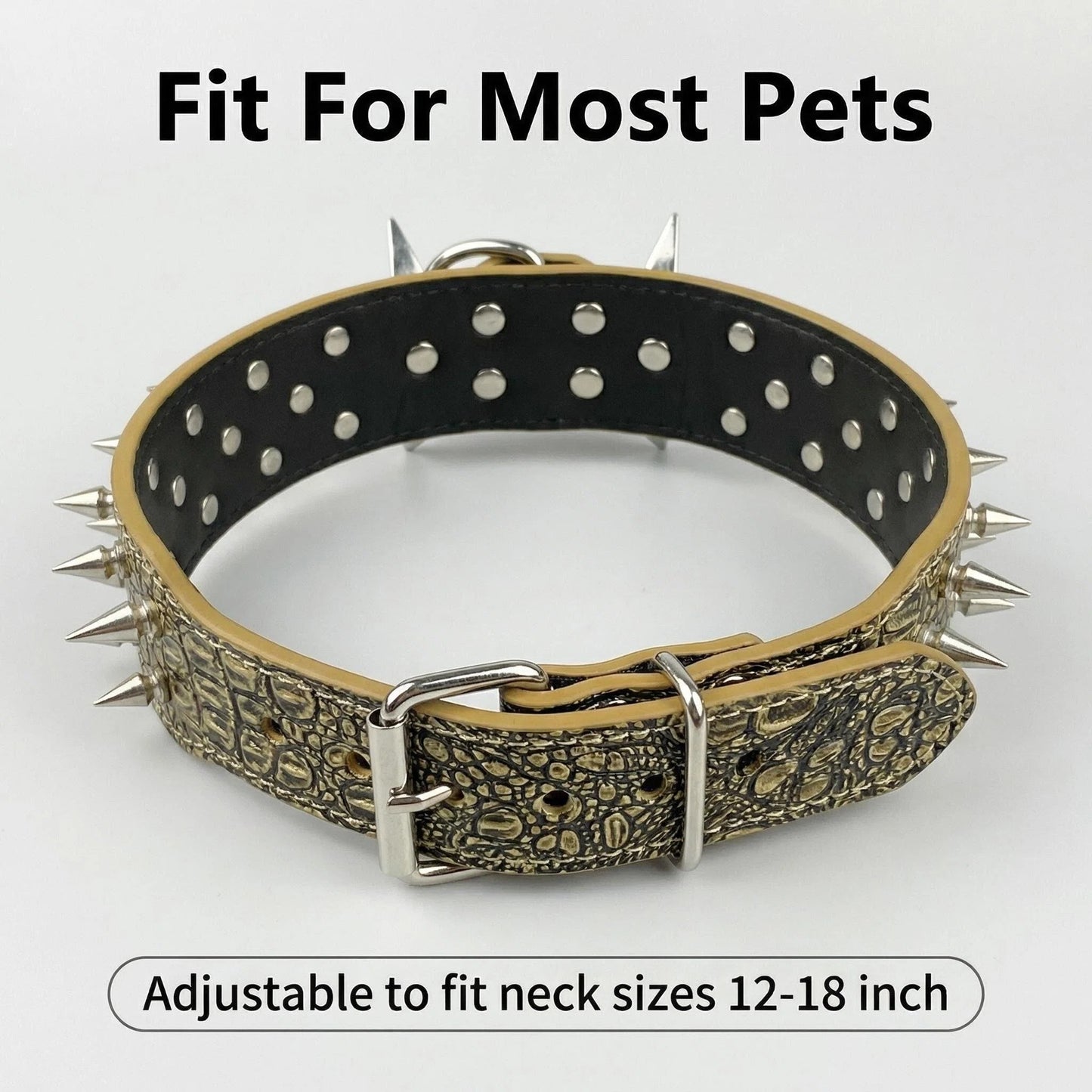 Tan Studded Dog Collar
