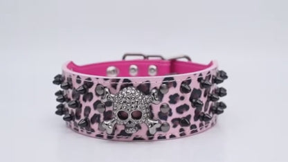 Pink & Black Skull Studded Dog Collar