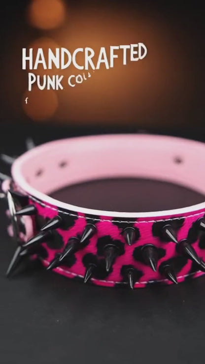 Pink & Black Studded Dog Collar
