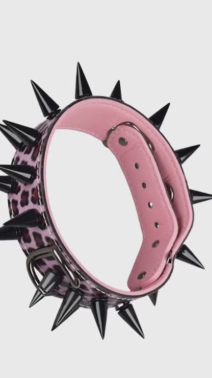Pink & Black Studded Dog Collar