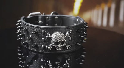 Black Leather Skull Studded Dog Collar