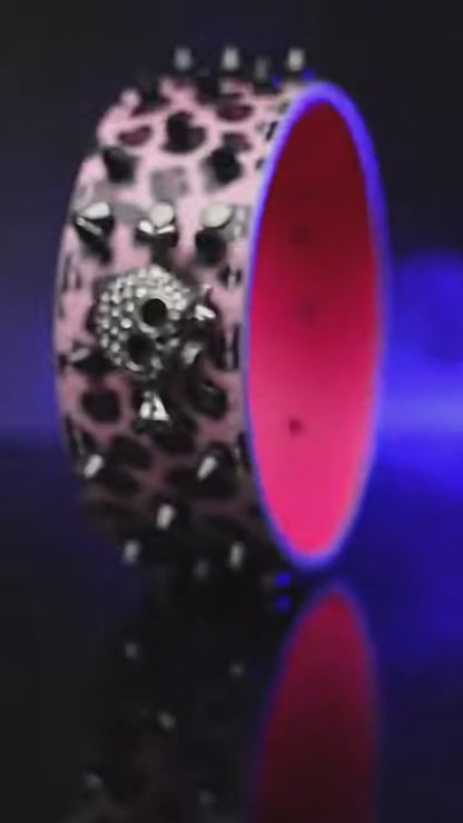 Pink & Black Skull Studded Dog Collar