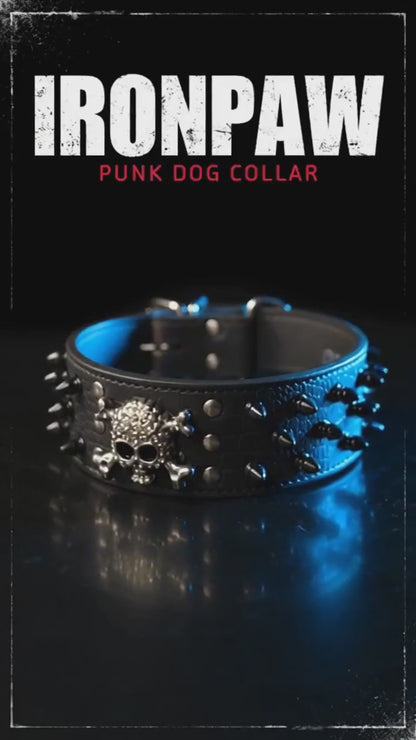 Black Leather Skull Studded Dog Collar