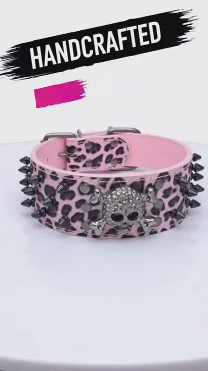 Pink & Black Skull Studded Dog Collar