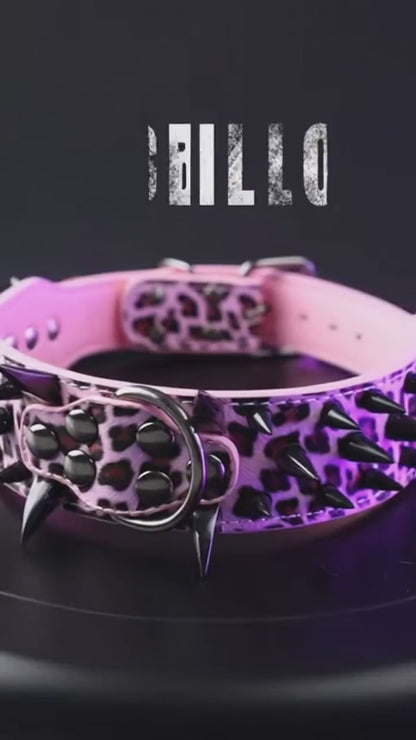 Pink & Black Studded Dog Collar
