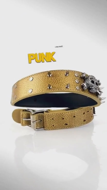 Tan & White Skull Studded Dog Collar