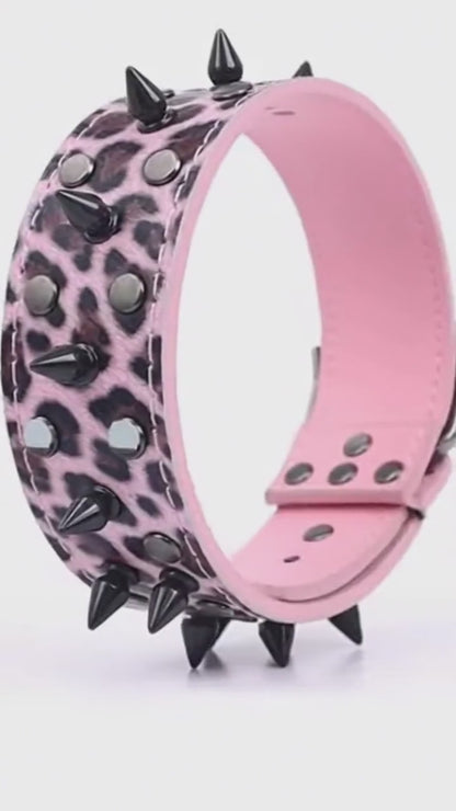 Pink & Black Skull Studded Dog Collar