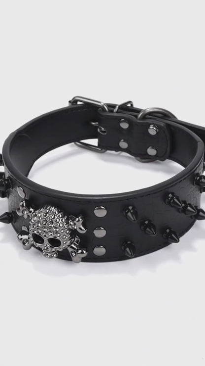 Black Leather Skull Studded Dog Collar