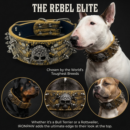 Tan Skull Studded Dog Collar
