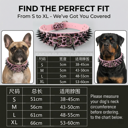 Pink & Black Studded Dog Collar